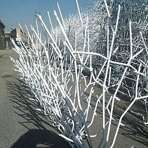 طهران حفاظ