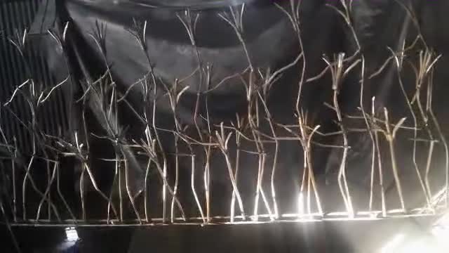 هایپرحفاظ