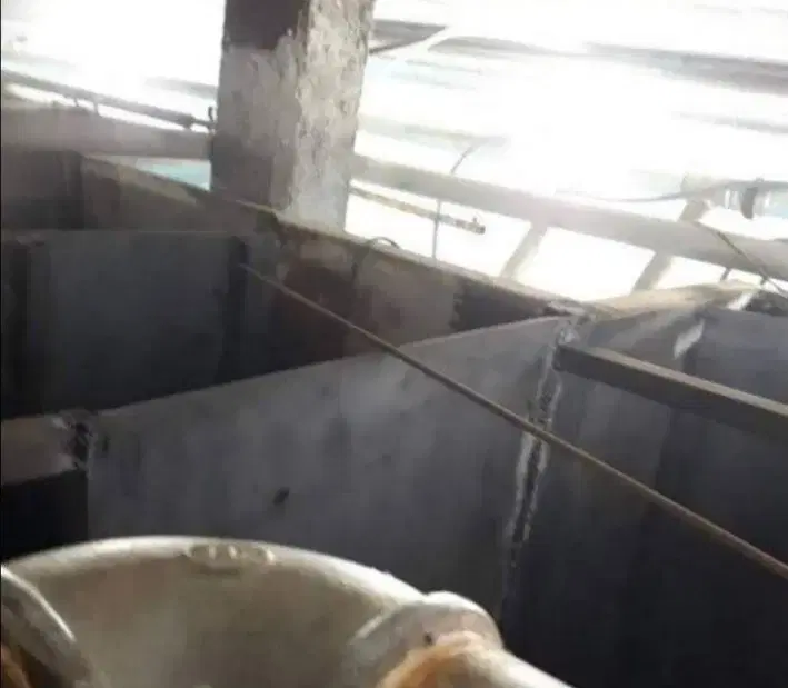 جوشکار و آهنگر شیروانی در قیام - تصویر 4