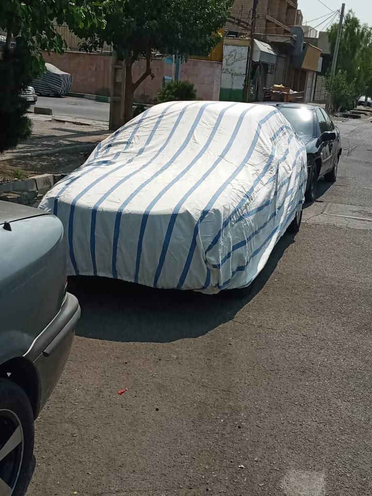 چادردوزی و برزنت‌کاری مهرآباد جنوبی - تصویر 10