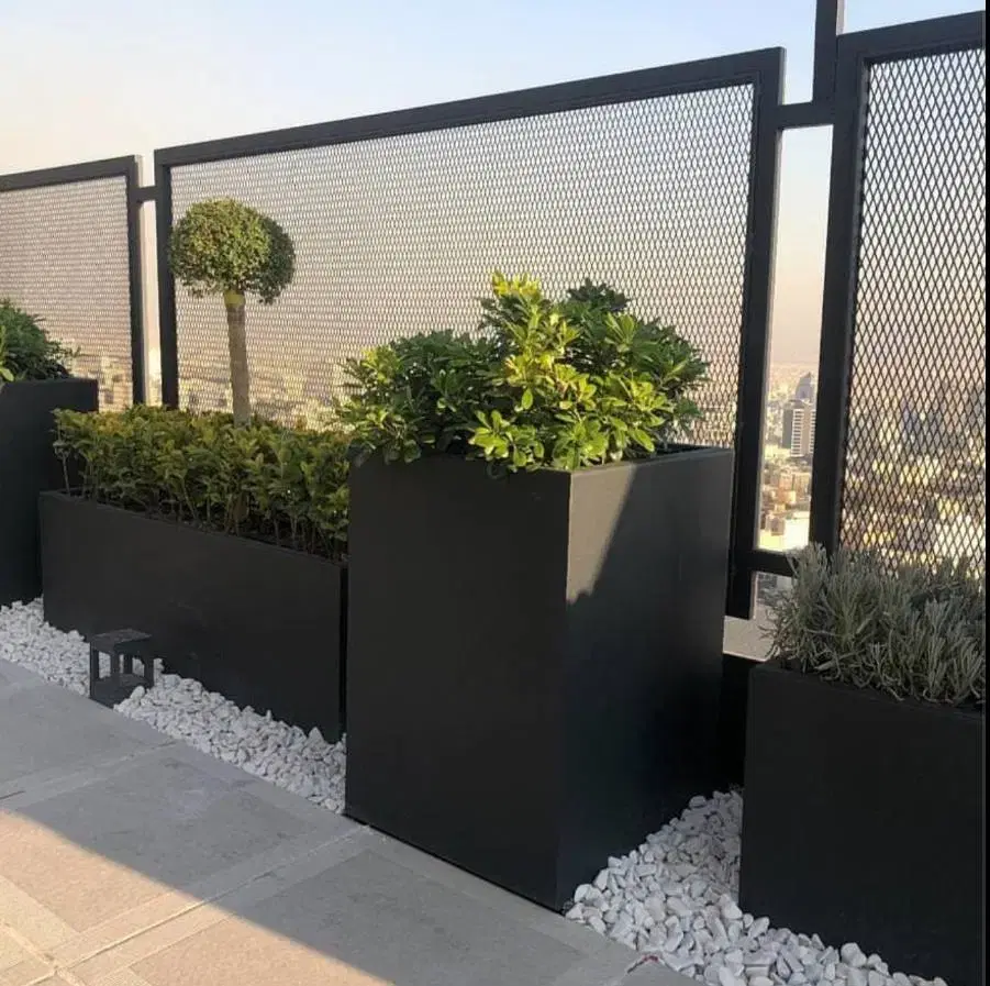 فلاشینگ نما در دکتر هوشیار - تصویر 4