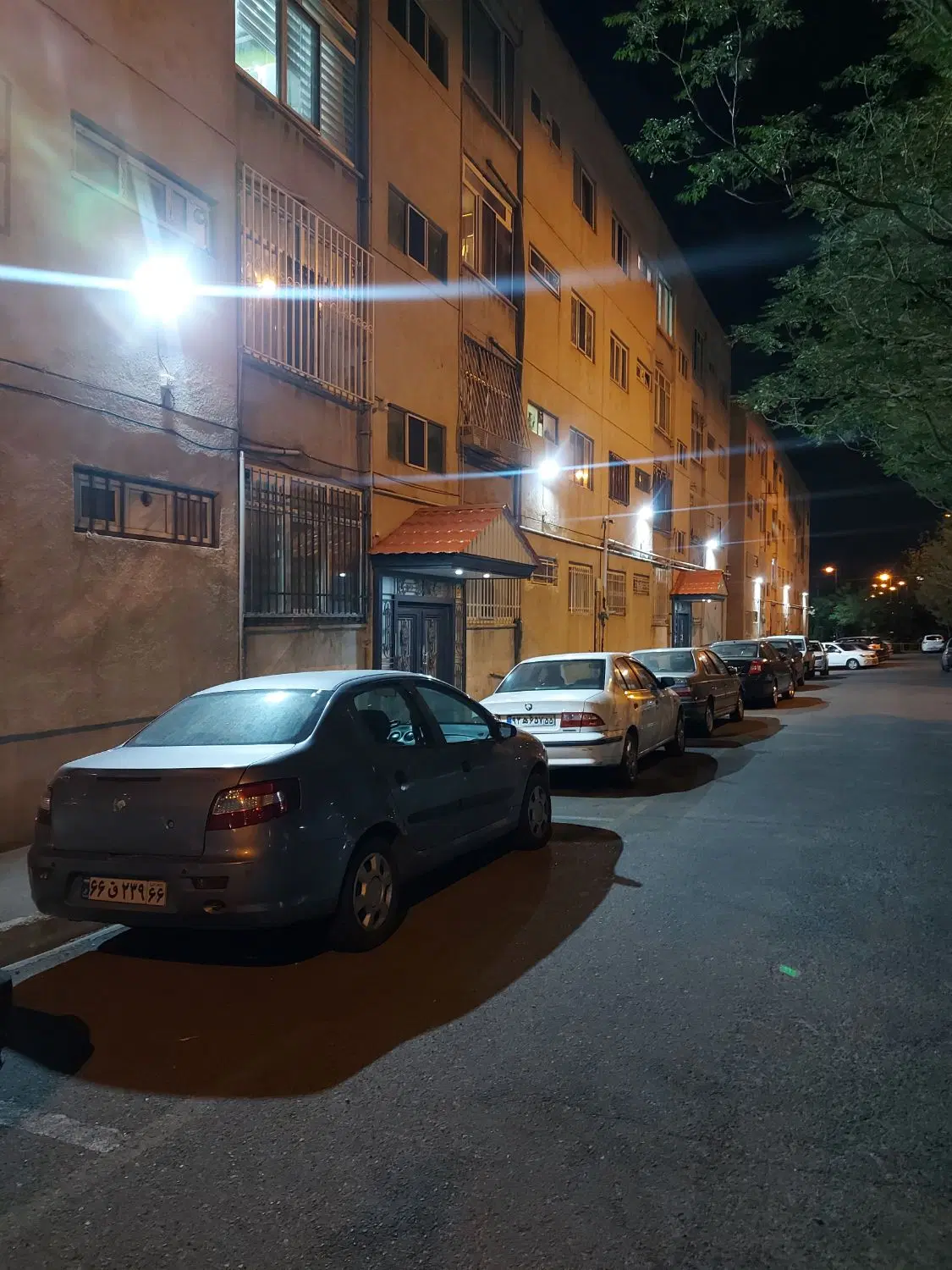 برقکار در دریاچه چیتگر - تصویر 7