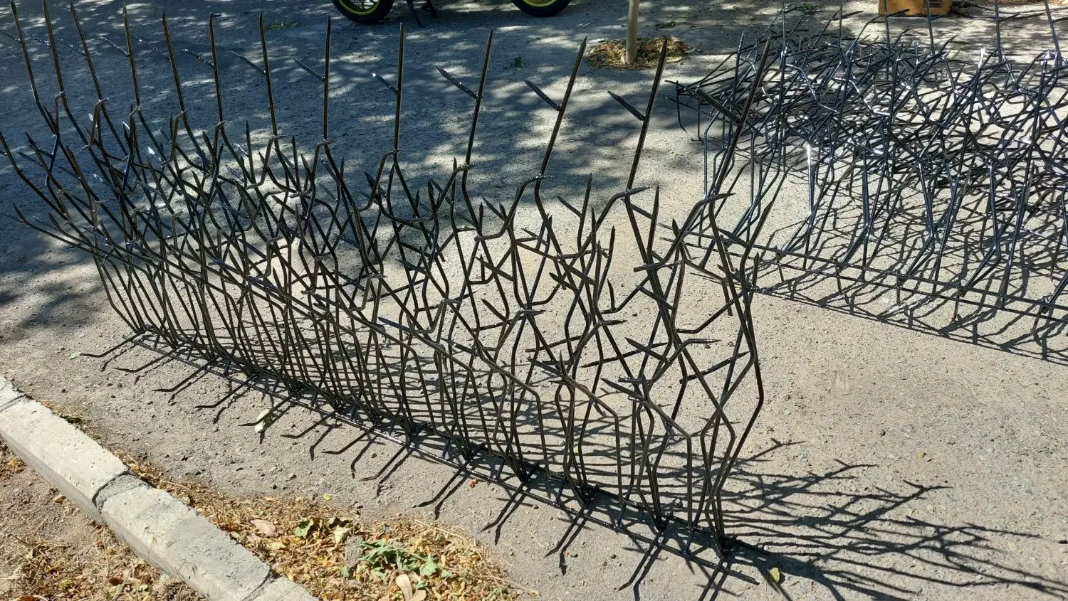 حفاظ شاخ گوزنی شادآباد - تصویر 2