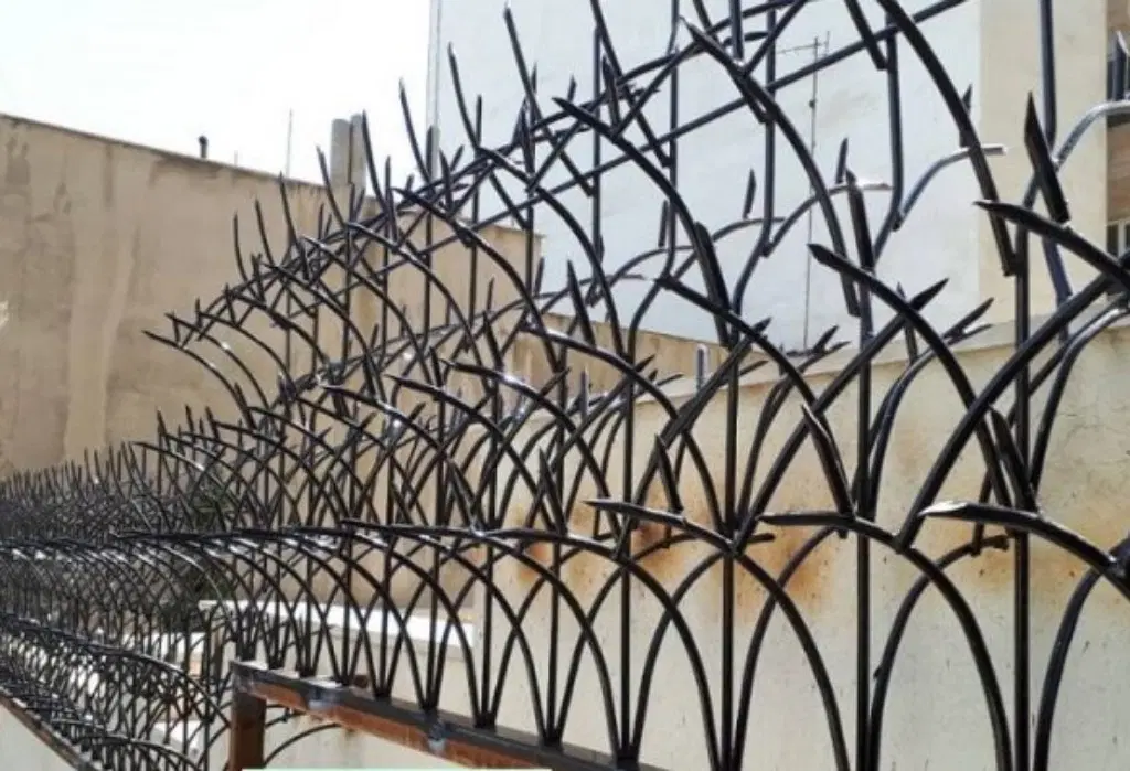 حفاظ شاخ گوزنی شادآباد - تصویر 4