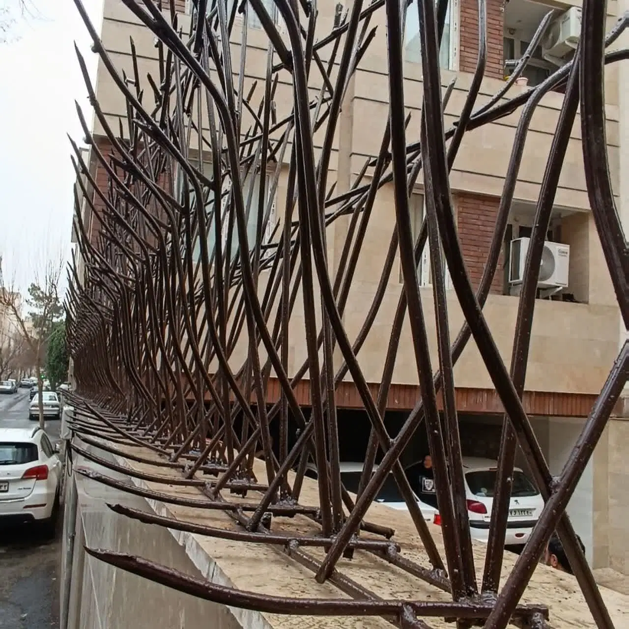 حفاظ شاخ گوزنی شادآباد - تصویر 9