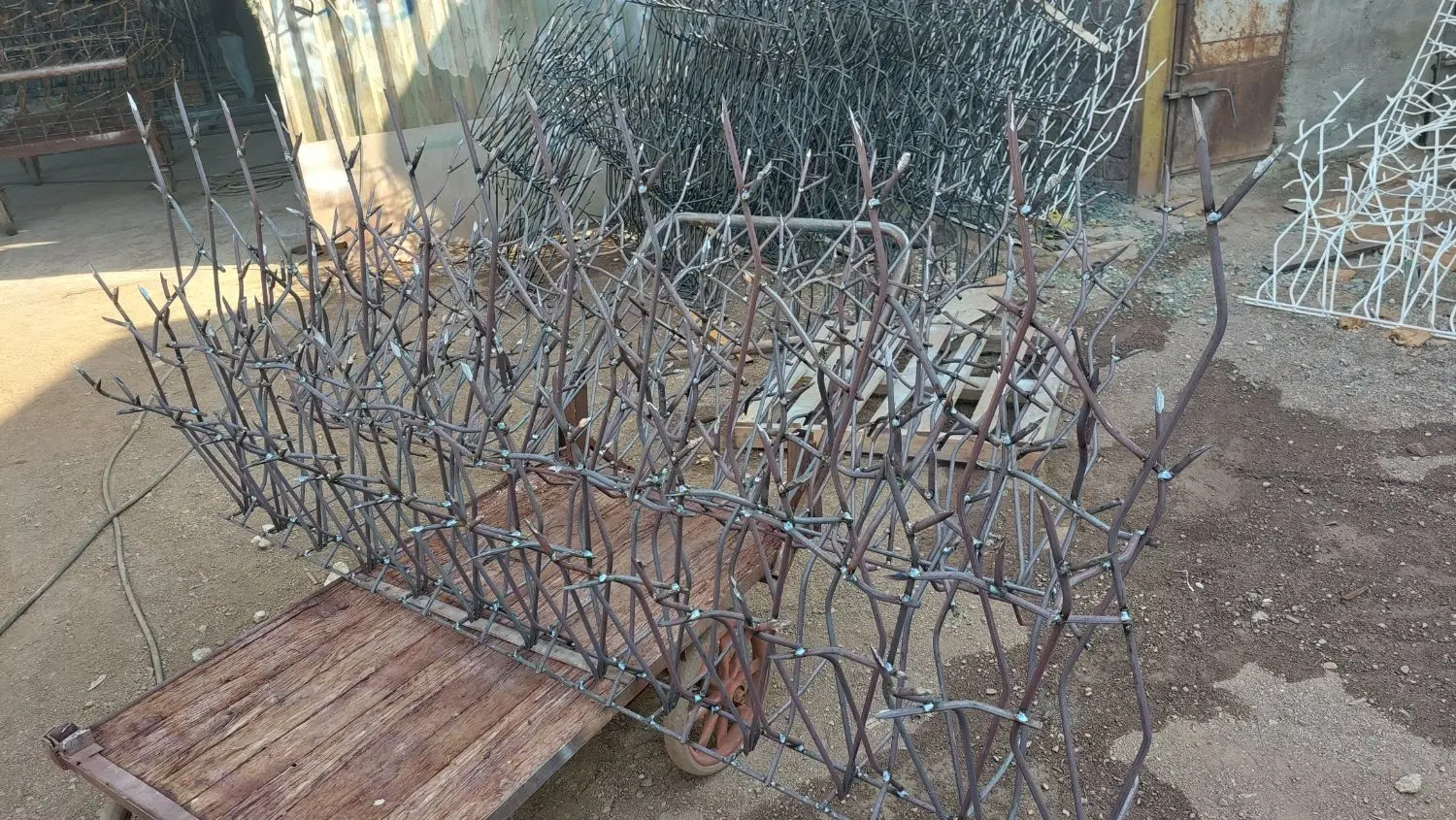 حفاظ شاخ گوزنی شادآباد - تصویر 10