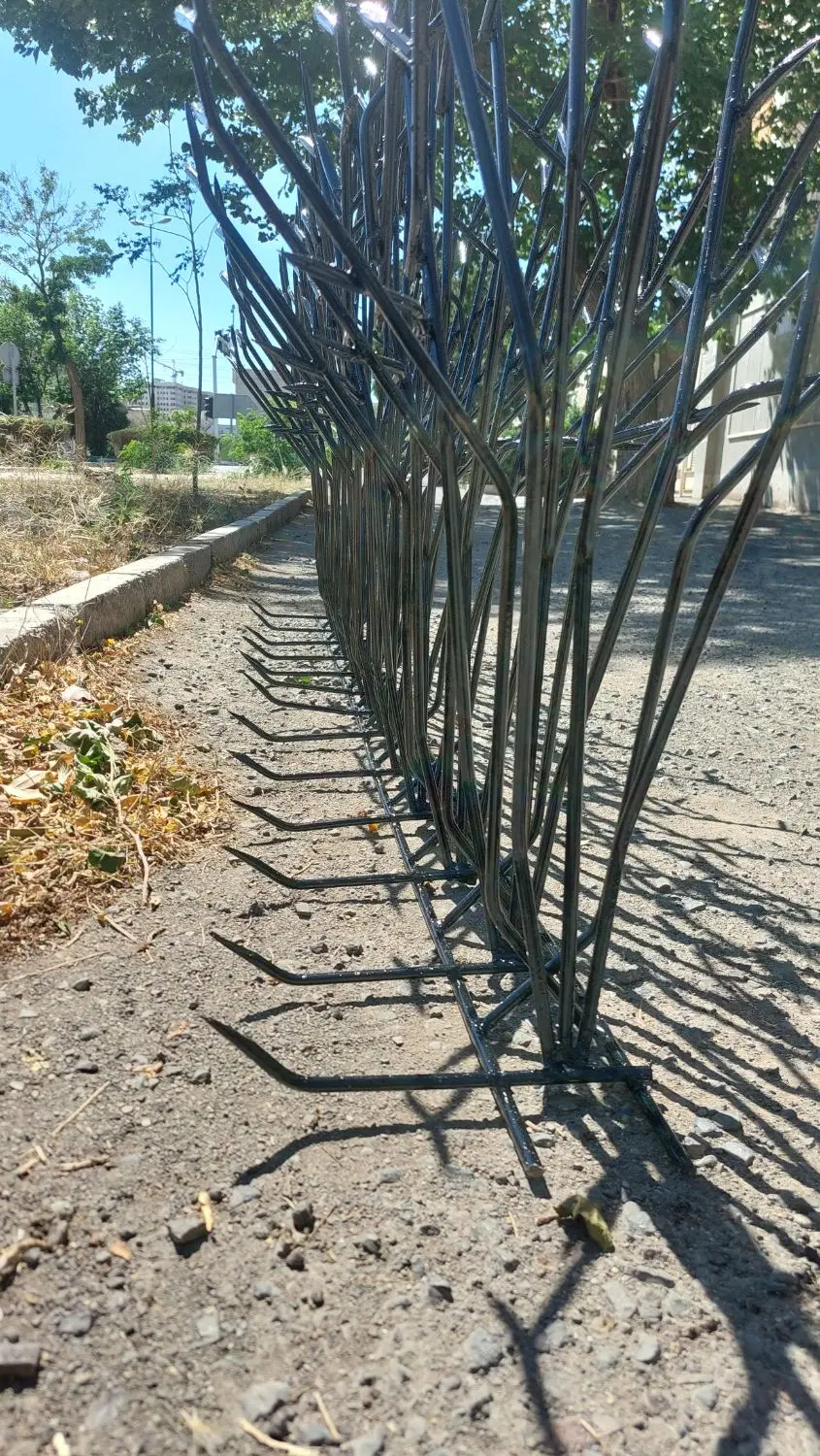 حفاظ شاخ گوزنی شادآباد - تصویر 12