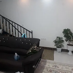 جوشکار در صفا