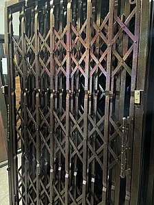 حفاظ آکاردئونی مسعود
