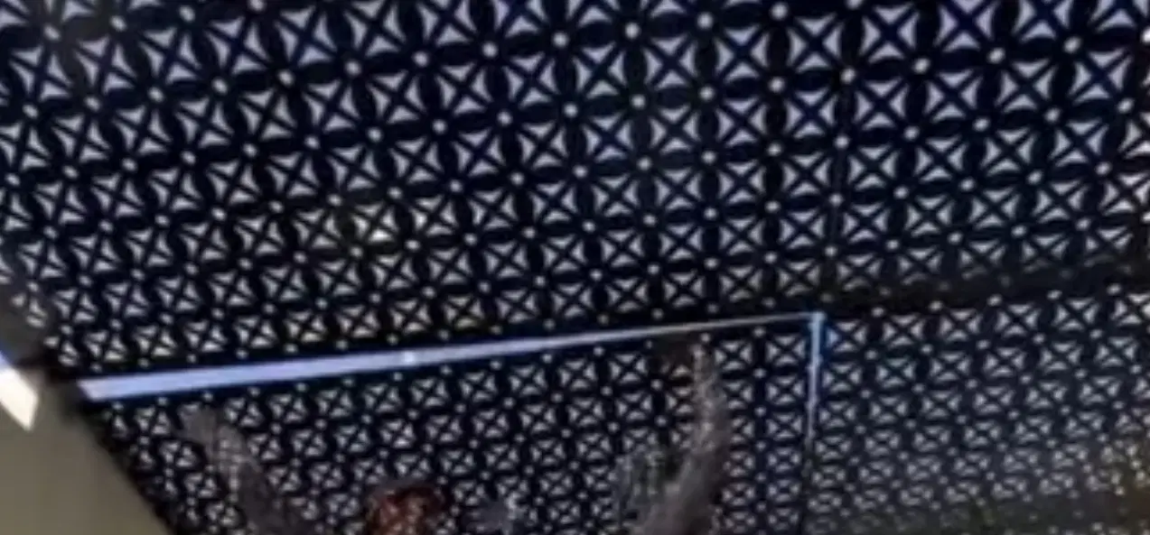 پرگولا و سایبان سقفی در نمایشگاه بین‌المللی - تصویر 7