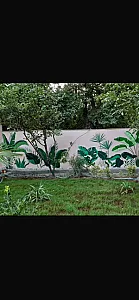 نقاشی ساختمان در سازمان برنامه جنوبی