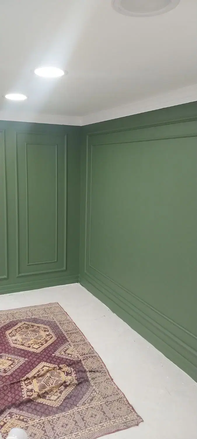 نقاشی ساختمان در جنت‌آباد شمالی - تصویر 5