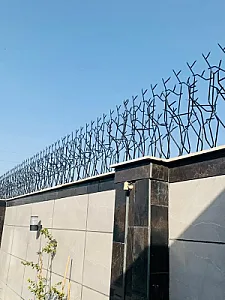 تولید حفاظ شاخ گوزنی در شادآباد