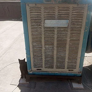 تعمیر کولر آبی علیرضا مرادی