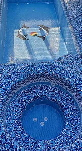 پیمانکاری ساختمان در هاشمی