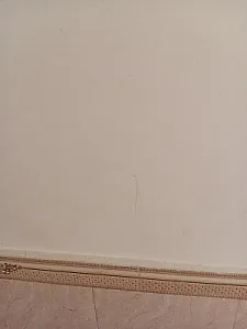 کاغذ دیواری در شهرک ولیعصر شمالی