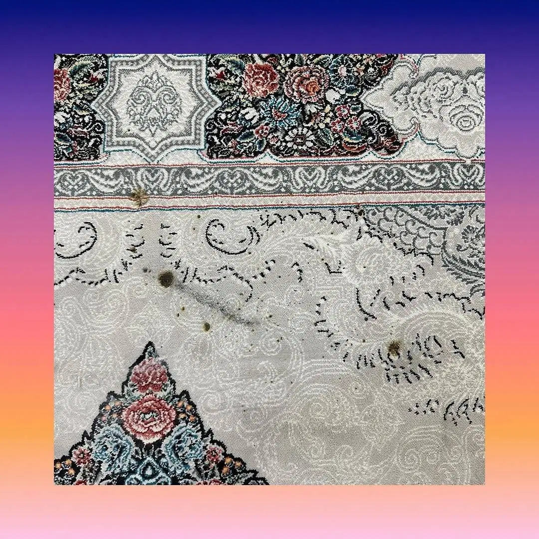 ترمیم و رفوگری فرش سوخته در پاسداران - تصویر 6