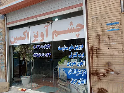 سیستم امنیتی چشم آویز اکسین