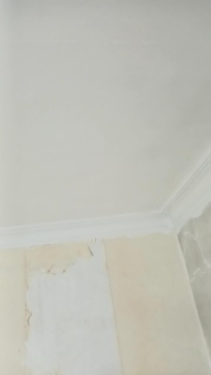 گچ‌کاری و کاشی‌کاری در صادقیه - تصویر 3