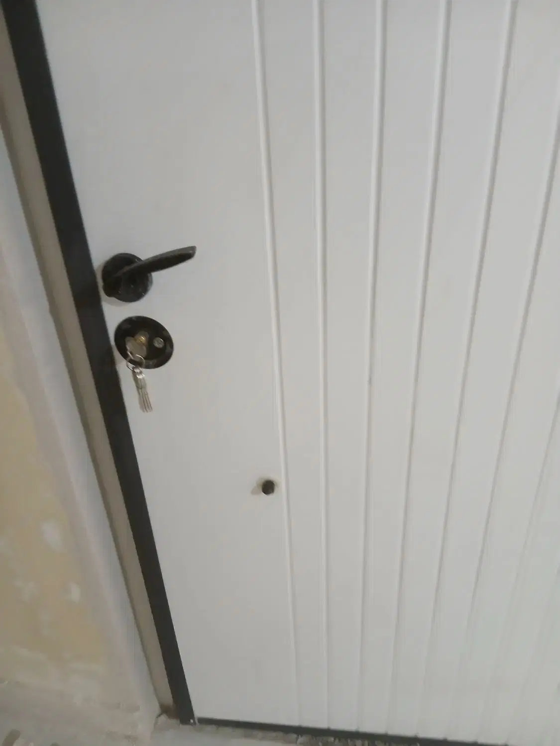 نصب درب ضدسرقت در آرژانتین - تصویر 10