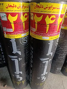 ایزوگام سلگی