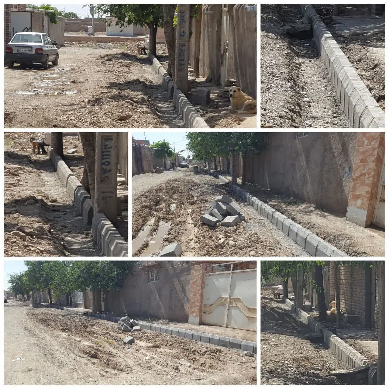 پیمانکاری زرین - تصویر 11