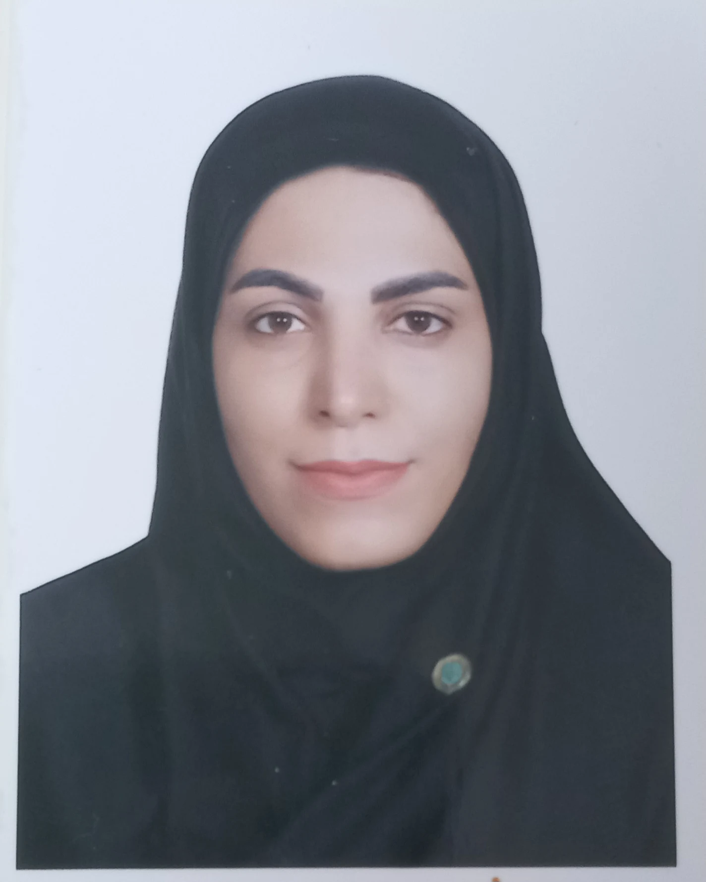 وکیل حدیثه رحیمیان