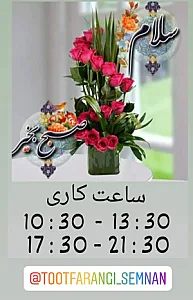 فروشگاه توت فرنگی سمنان