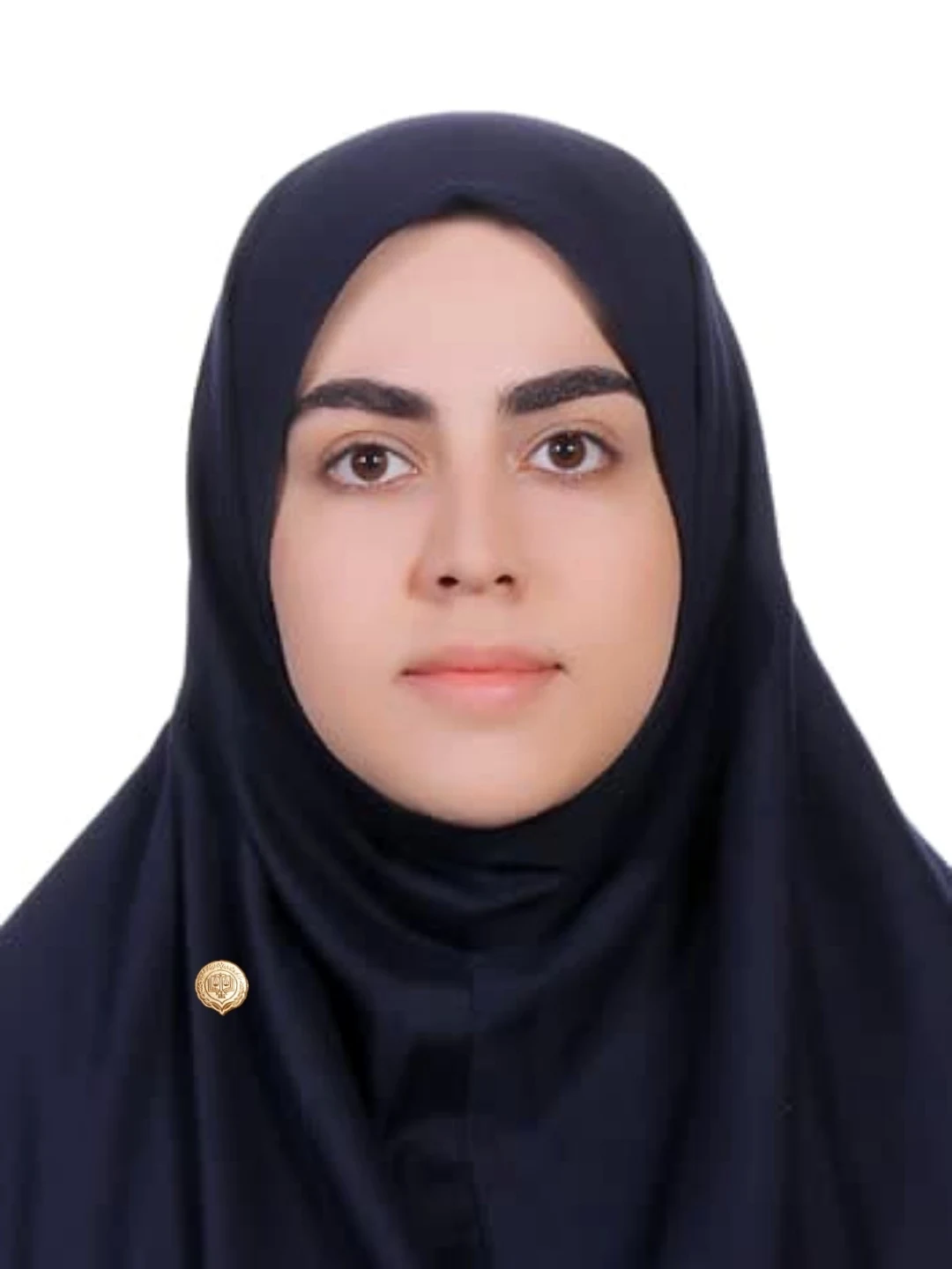 وکیل دادگستری