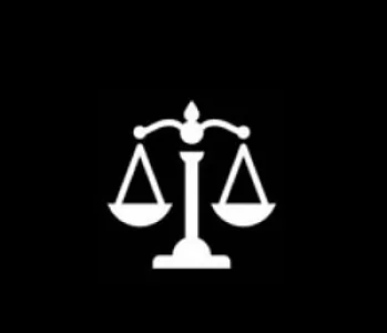 رویا بشیری