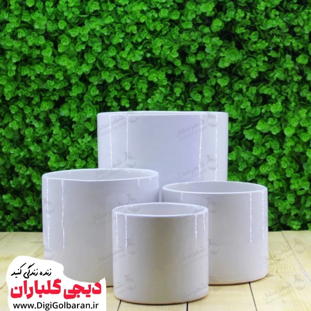 دیجی گلباران