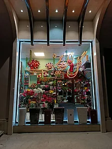 گل فلورین
