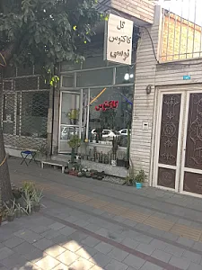 گلفروشی کاکتوس