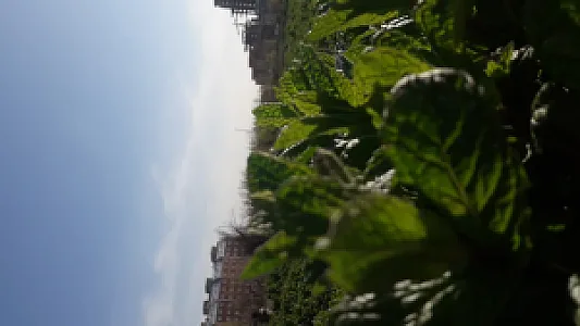 سبزی فروش بیوک آسیابانی
