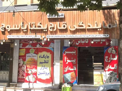 نمایندگی فروش قارچ و پروتئین یکتا