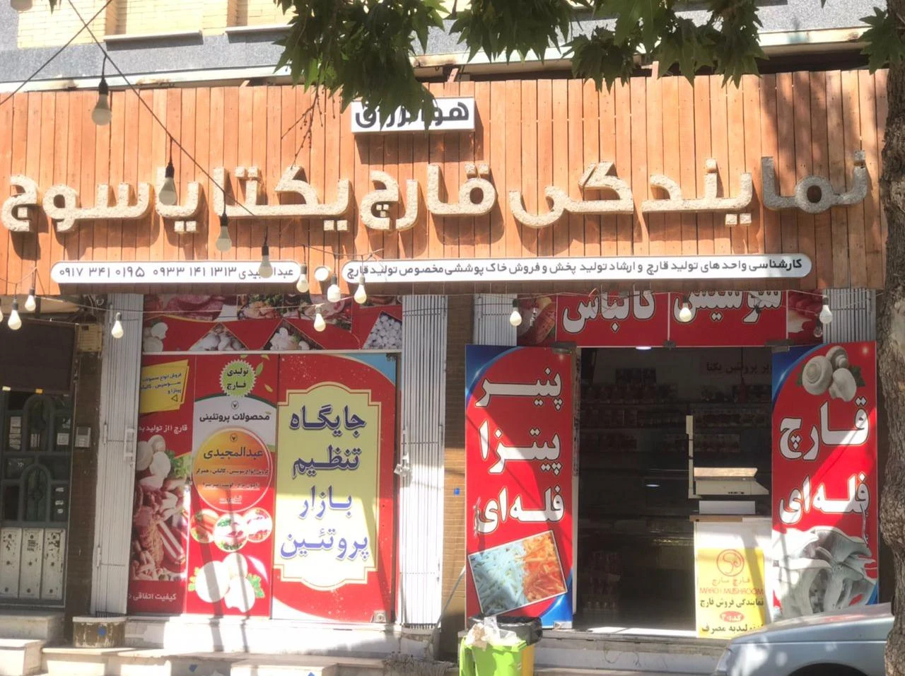 نمایندگی فروش قارچ و پروتئین یکتا