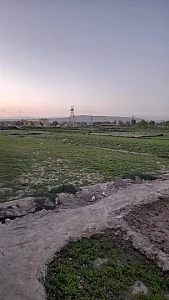 باغ سبزی مش احمد
