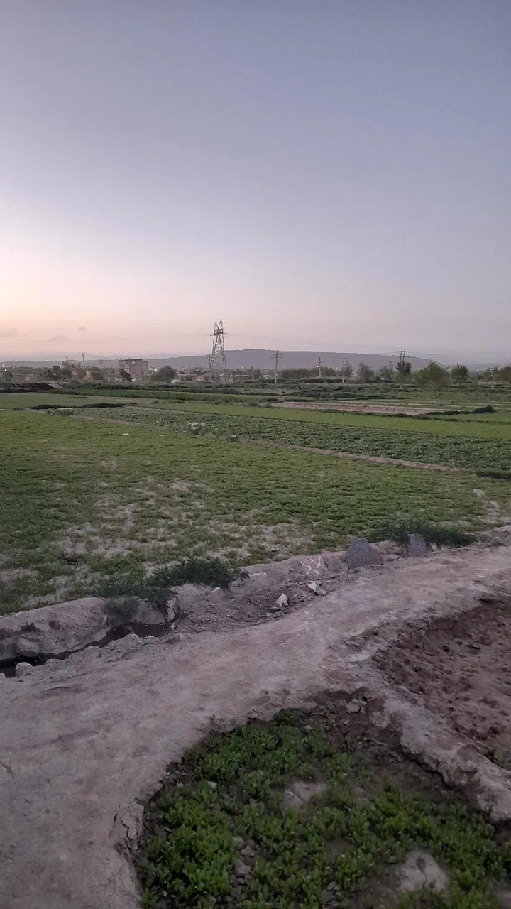 باغ سبزی مش احمد