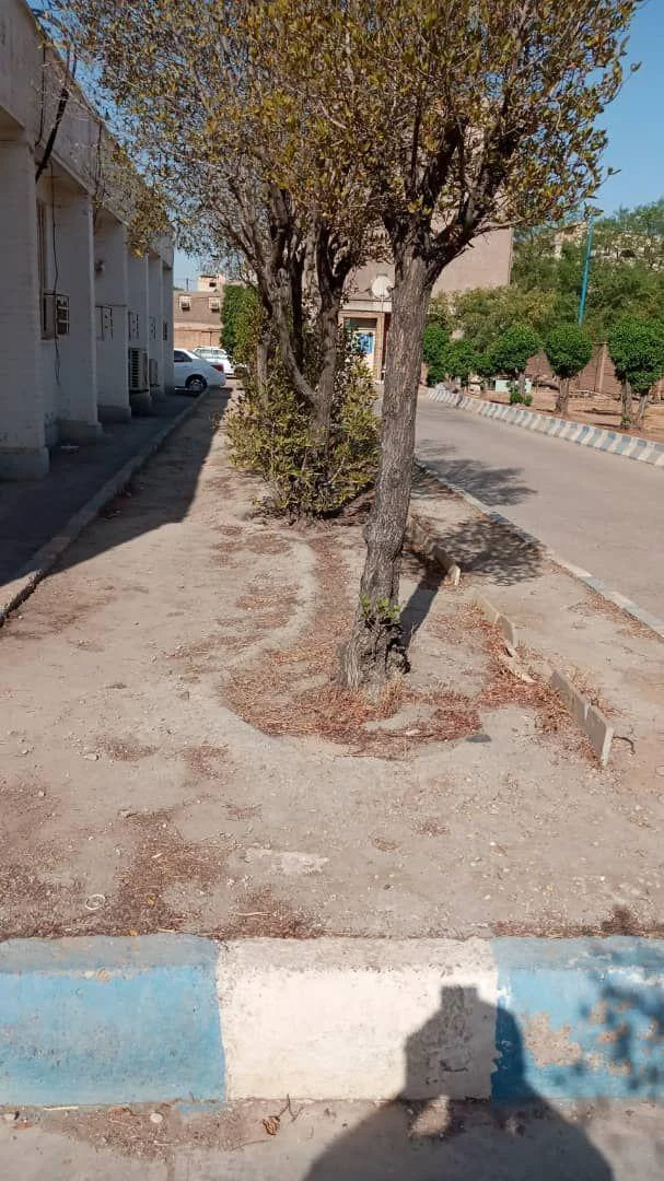 مرکز بهداشت ۸ باهنر - تصویر 5