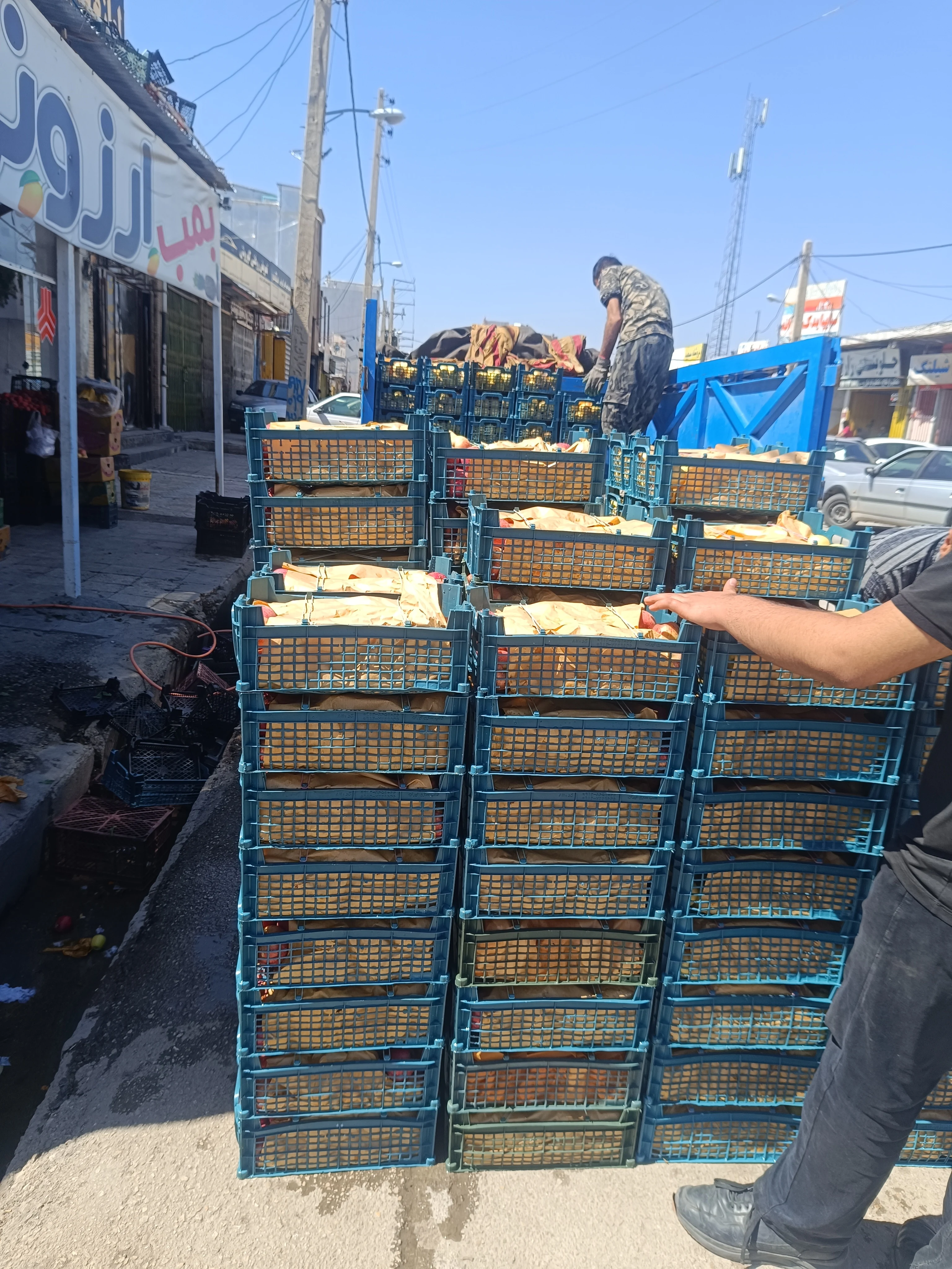 میوه ۱۱۰یاسوج - تصویر 4