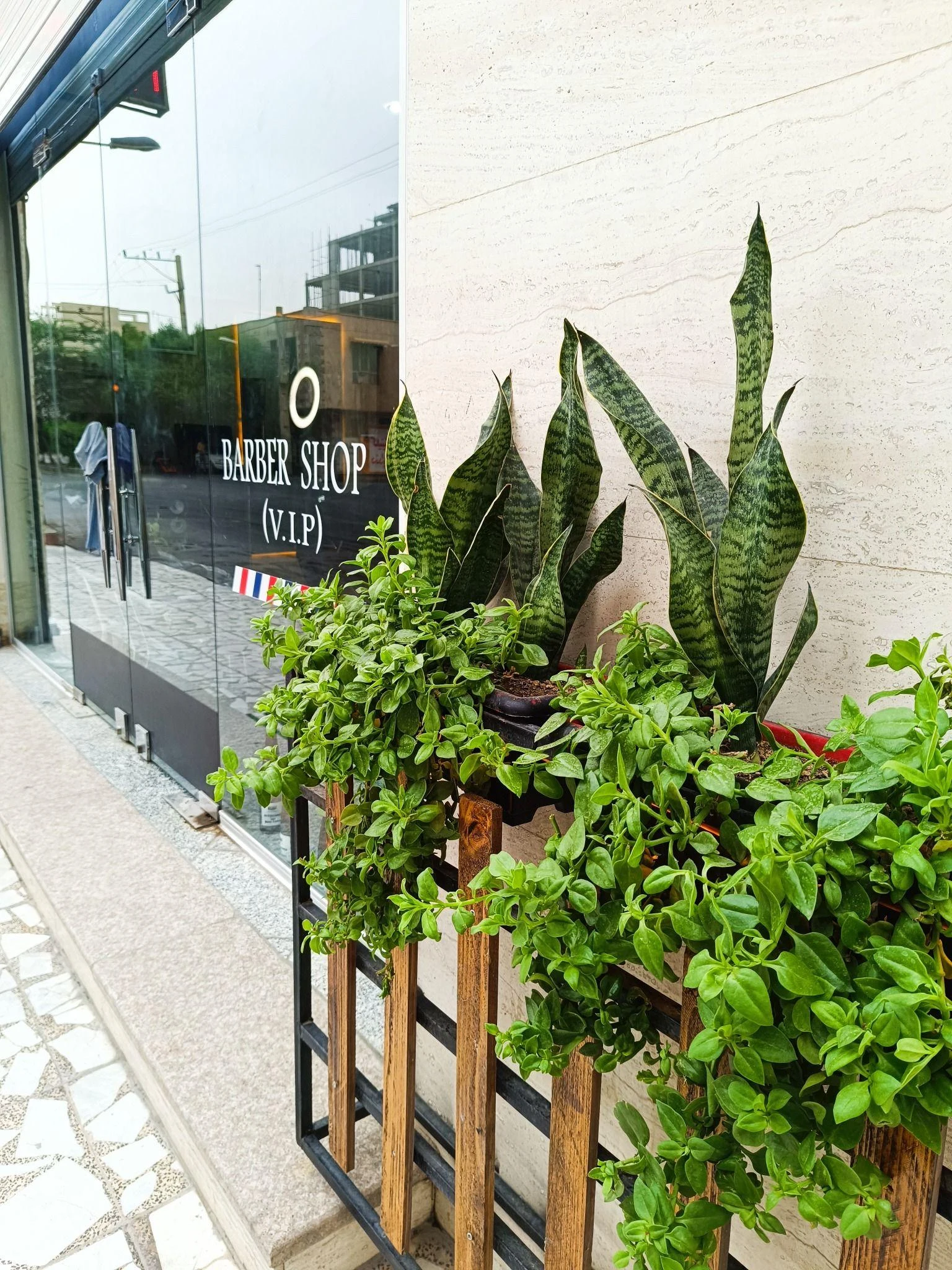 سالن مردانه دکتر مو - تصویر 2