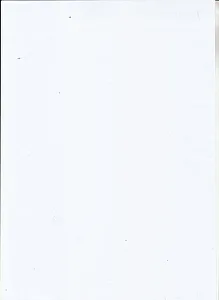 وکیل معصومه اسدالهی