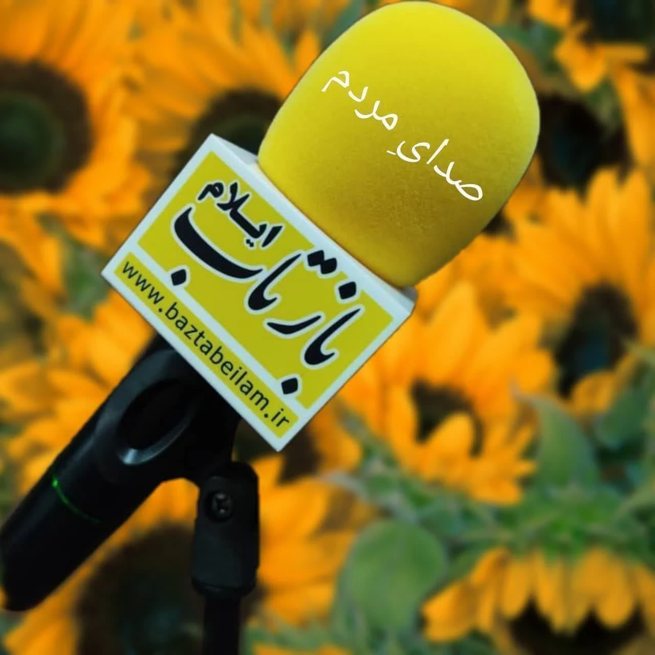 پایگاه خبری تحلیلی بازتاب ایلام