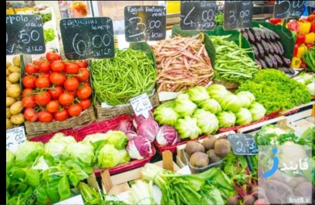 باغ سبزی حاج عبداله - تصویر 4