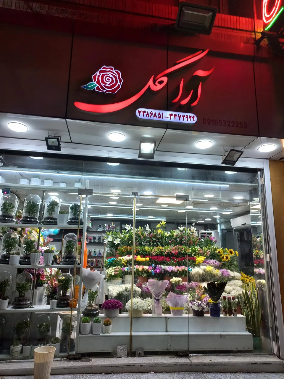 گلفروشی آراگل