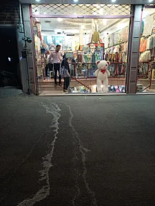 فروشگاه بهداد
