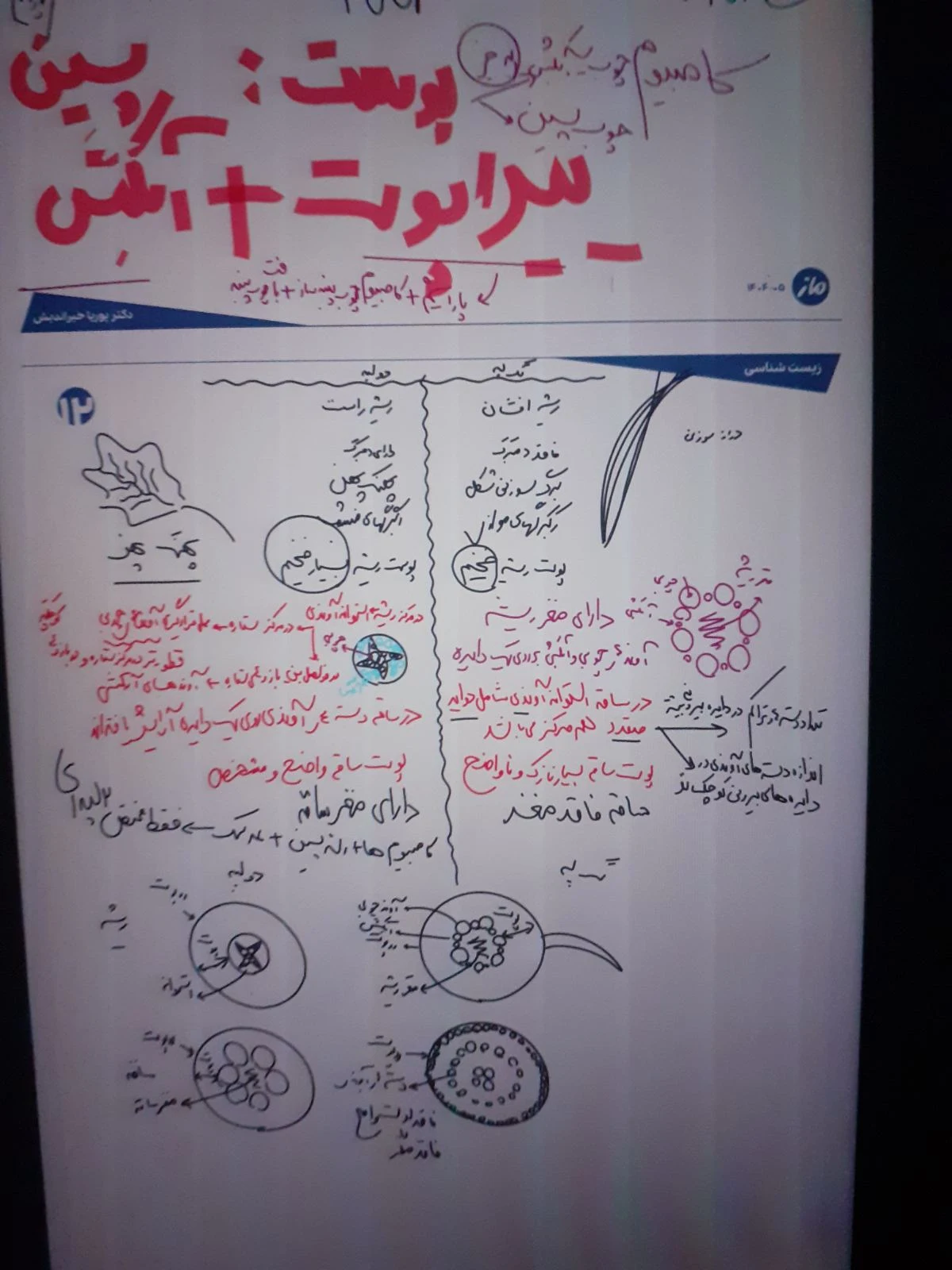 وکیل مریم پورسلیمی - تصویر 3