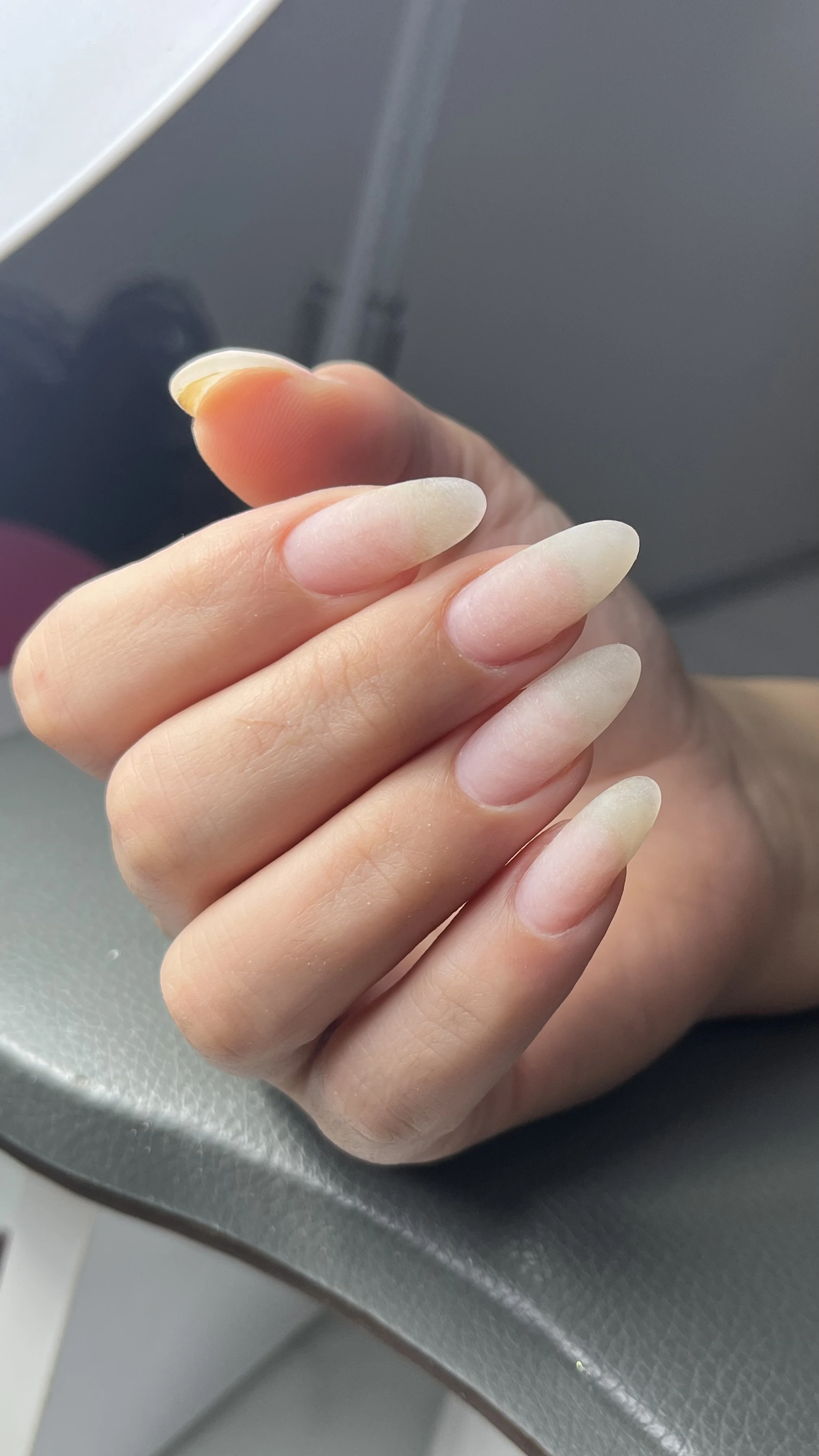 ناخنکار عسل رحیمی - تصویر 9
