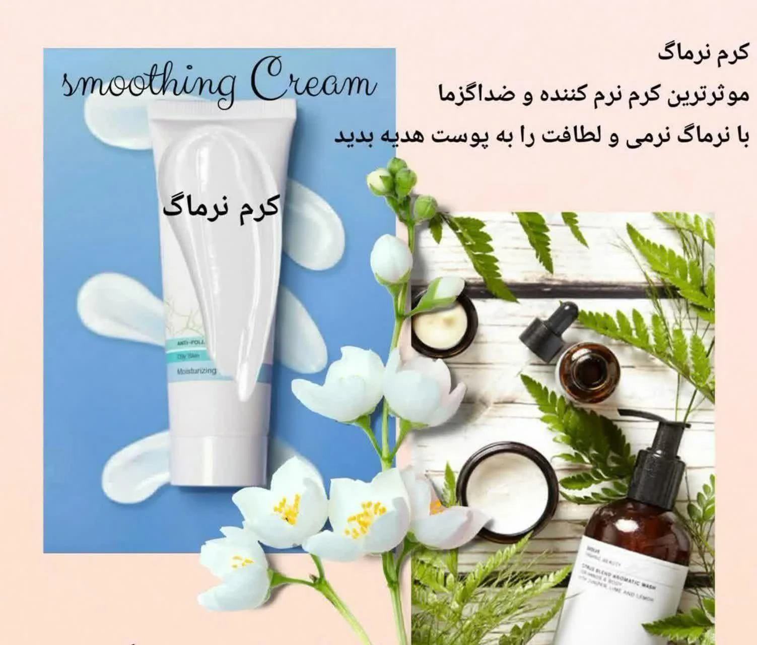 فروشگاه طیبه