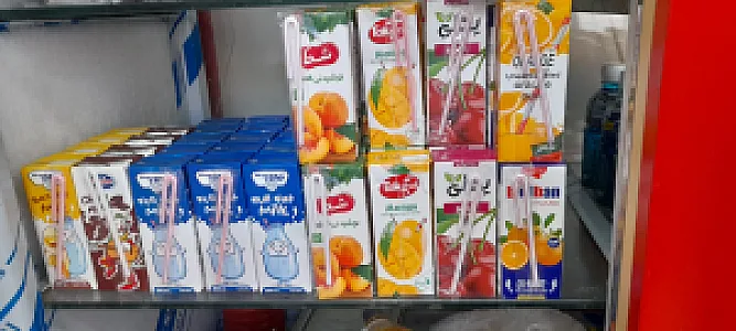 فست فود سگور